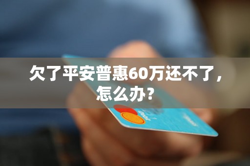 欠了平安普惠60万还不了，怎么办？