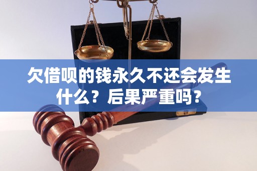 欠借呗的钱永久不还会发生什么？后果严重吗？