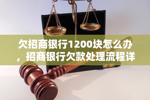 欠招商银行1200块怎么办，招商银行欠款处理流程详解