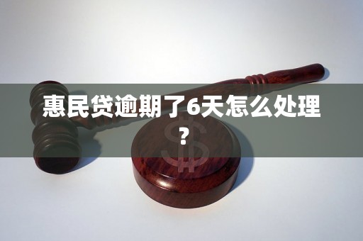 惠民贷逾期了6天怎么处理？