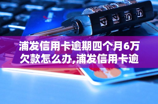 浦发信用卡逾期四个月6万欠款怎么办,浦发信用卡逾期处理流程