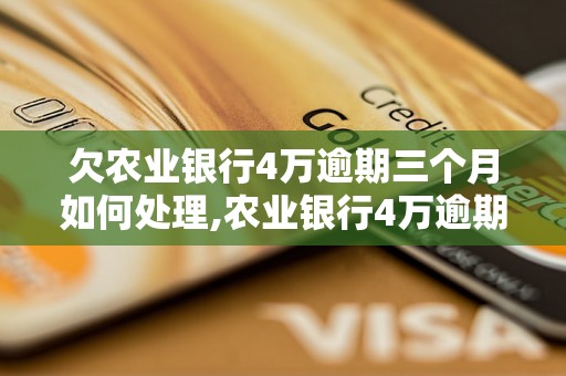 欠农业银行4万逾期三个月如何处理,农业银行4万逾期还款流程介绍