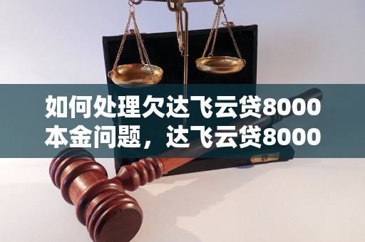 如何处理欠达飞云贷8000本金问题，达飞云贷8000本金借款后果