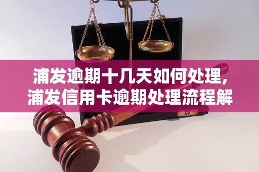 浦发逾期十几天如何处理,浦发信用卡逾期处理流程解析