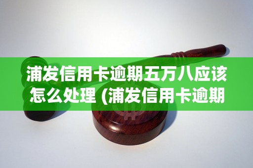 浦发信用卡逾期五万八应该怎么处理 (浦发信用卡逾期处理流程详解)