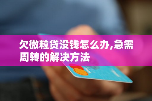 欠微粒贷没钱怎么办,急需周转的解决方法                    欠微粒贷没钱怎么办,快速解决财务压力的办法                    欠微粒贷没钱怎么办,紧急贷款渠道推荐                    欠微粒贷没钱怎么办,应对紧急资金需求的有效措施