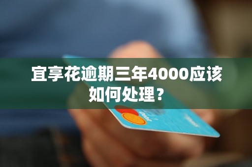 宜享花逾期三年4000应该如何处理？