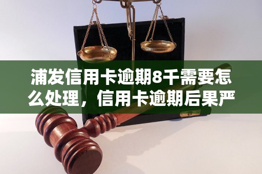 浦发信用卡逾期8千需要怎么处理，信用卡逾期后果严重吗