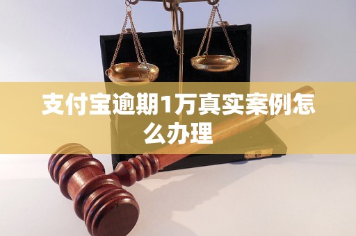 支付宝逾期1万真实案例怎么办理