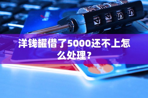 洋钱罐借了5000还不上怎么处理？