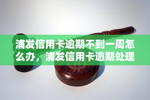 浦发信用卡逾期不到一周怎么办，浦发信用卡逾期处理流程