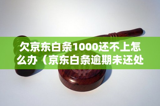 欠京东白条1000还不上怎么办（京东白条逾期未还处理方法）