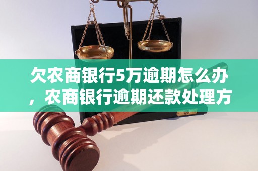 欠农商银行5万逾期怎么办，农商银行逾期还款处理方式