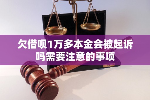 欠借呗1万多本金会被起诉吗需要注意的事项