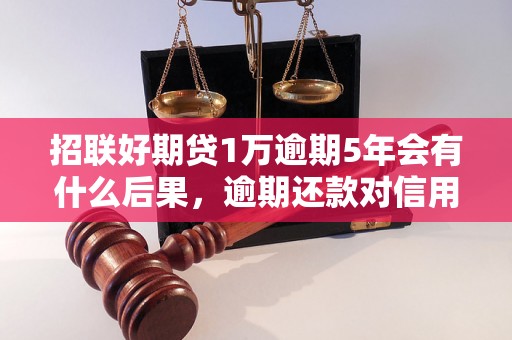 招联好期贷1万逾期5年会有什么后果，逾期还款对信用记录的影响