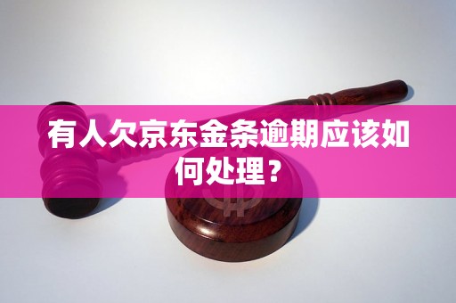 有人欠京东金条逾期应该如何处理？