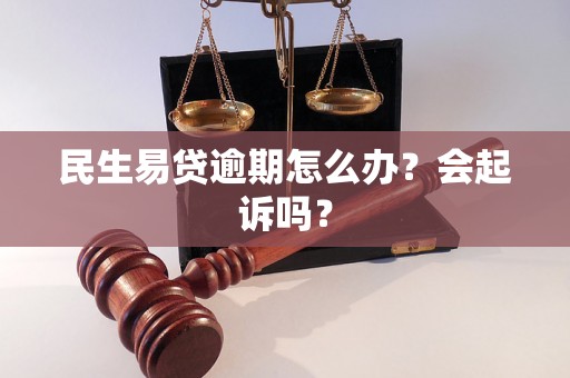 民生易贷逾期怎么办？会起诉吗？