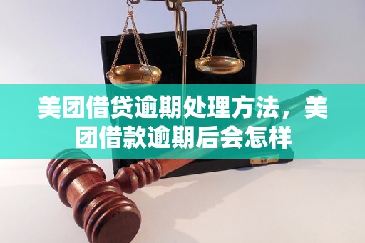 美团借贷逾期处理方法，美团借款逾期后会怎样