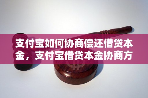 支付宝如何协商偿还借贷本金，支付宝借贷本金协商方式