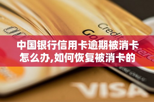 中国银行信用卡逾期被消卡怎么办,如何恢复被消卡的信用卡