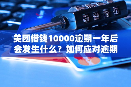 美团借钱10000逾期一年后会发生什么？如何应对逾期借款问题