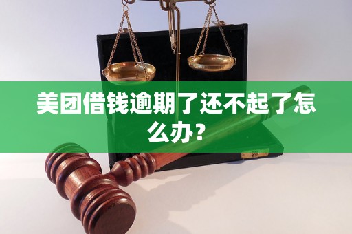 美团借钱逾期了还不起了怎么办？