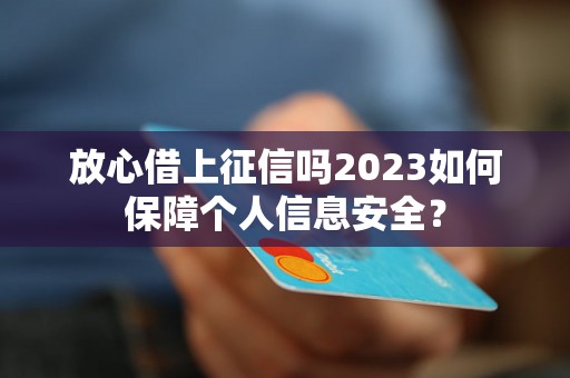 放心借上征信吗2023如何保障个人信息安全？