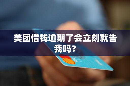 美团借钱逾期了会立刻就告我吗？