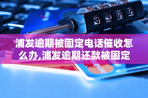 浦发逾期被固定电话催收怎么办,浦发逾期还款被固定电话催收流程详解