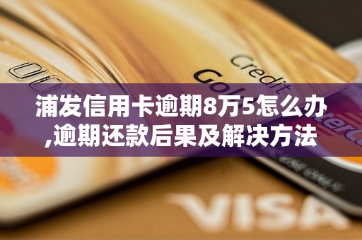 浦发信用卡逾期8万5怎么办,逾期还款后果及解决方法