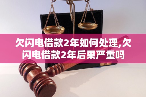 欠闪电借款2年如何处理,欠闪电借款2年后果严重吗