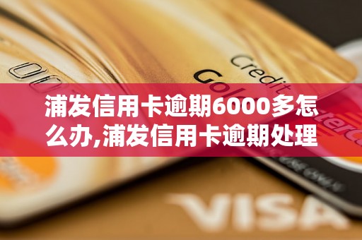 浦发信用卡逾期6000多怎么办,浦发信用卡逾期处理流程及注意事项