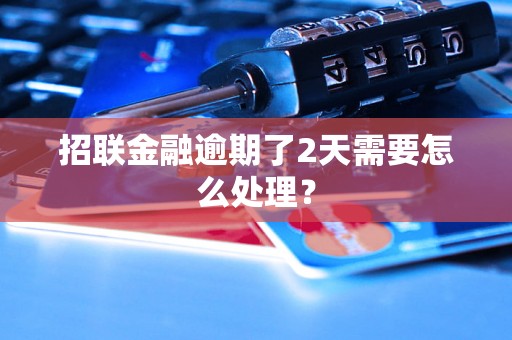 招联金融逾期了2天需要怎么处理？