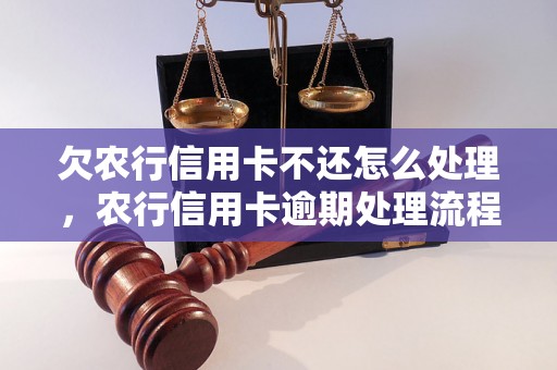 欠农行信用卡不还怎么处理，农行信用卡逾期处理流程