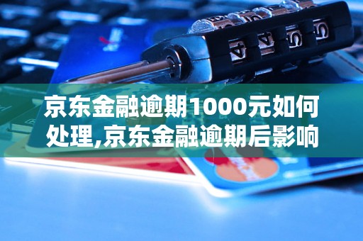 京东金融逾期1000元如何处理,京东金融逾期后影响及解决办法