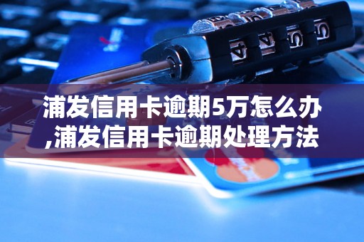 浦发信用卡逾期5万怎么办,浦发信用卡逾期处理方法详解