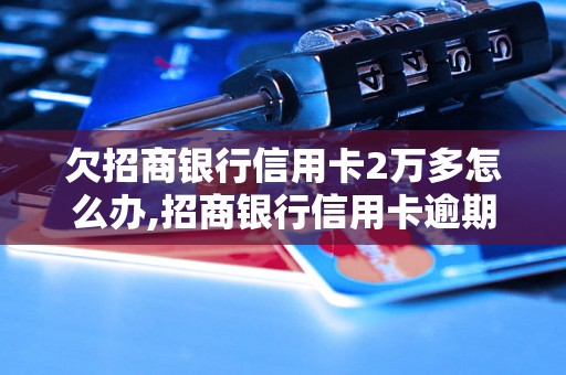 欠招商银行信用卡2万多怎么办,招商银行信用卡逾期还款处理方法