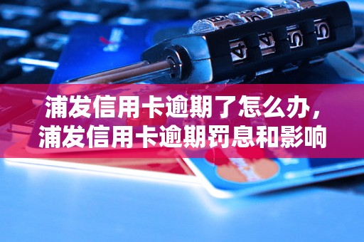 浦发信用卡逾期了怎么办，浦发信用卡逾期罚息和影响