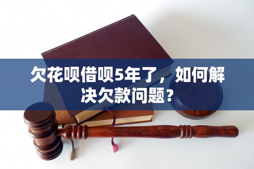 欠花呗借呗5年了，如何解决欠款问题？