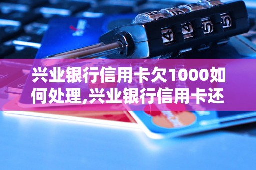 兴业银行信用卡欠1000如何处理,兴业银行信用卡还款方式详解