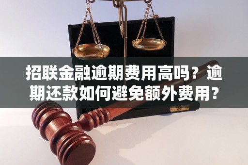 招联金融逾期费用高吗？逾期还款如何避免额外费用？