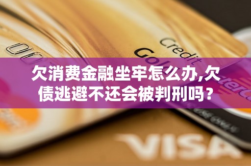 欠消费金融坐牢怎么办,欠债逃避不还会被判刑吗？