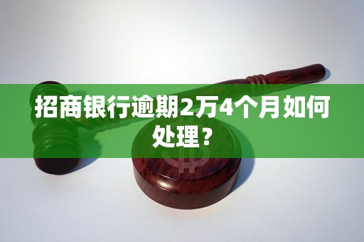 招商银行逾期2万4个月如何处理？