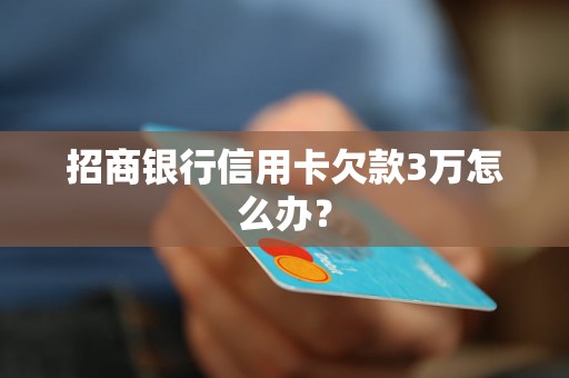 招商银行信用卡欠款3万怎么办？