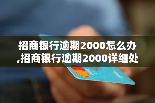 招商银行逾期2000怎么办,招商银行逾期2000详细处理流程