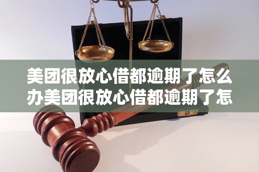 美团很放心借都逾期了怎么办美团很放心借都逾期了怎么办