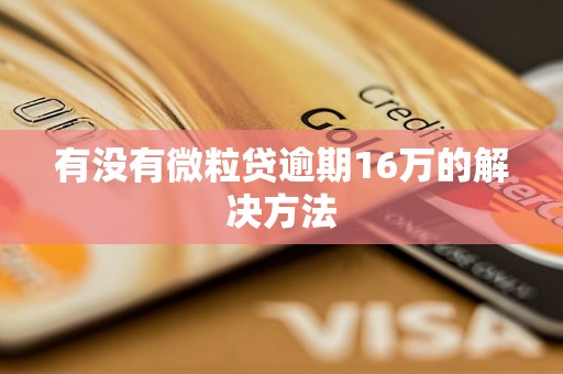 有没有微粒贷逾期16万的解决方法