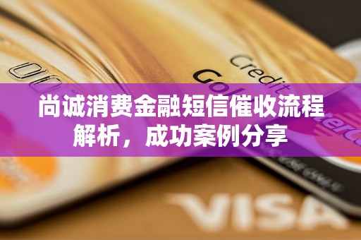 尚诚消费金融短信催收流程解析，成功案例分享