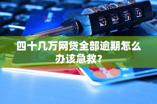 四十几万网贷全部逾期怎么办该急救？