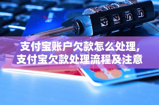 支付宝账户欠款怎么处理,支付宝欠款处理流程及注意事项 支付宝账户欠款怎么处理,支付宝欠款处理流程及注意事项